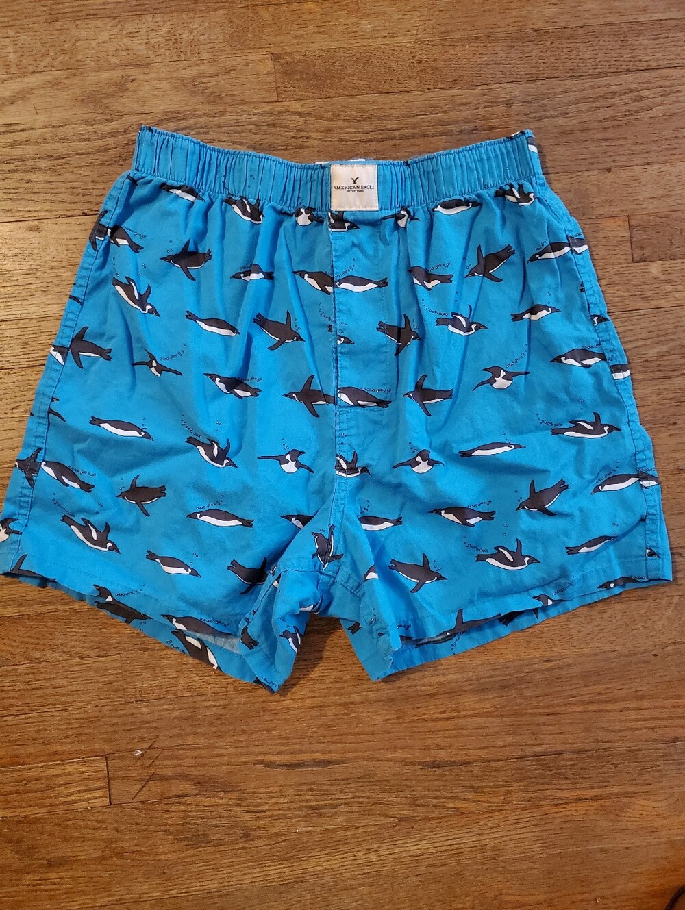 American Eagle Outfitters Men’s Bright Blue Penguin Swim Trunks